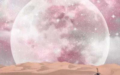 LUNA NUOVA IN CANCRO 25 GIUGNO 2025