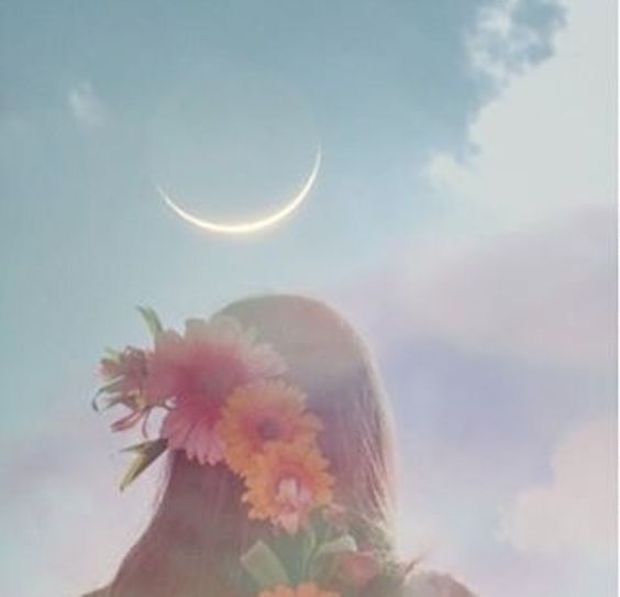 LUNA NUOVA IN VERGINE 23 AGOSTO 2025